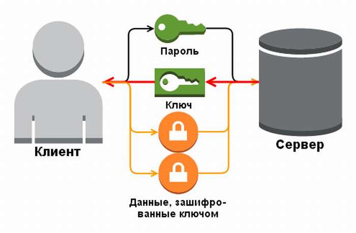 Взломайте Wi-Fi соседа за 5 минут: 100% методы работы, чтобы узнать пароль